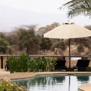 Garden & Pool Parasol