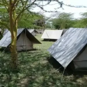 Tours & Travel Tent