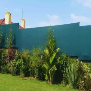 Privacy Fence