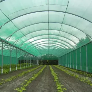 Shade Net