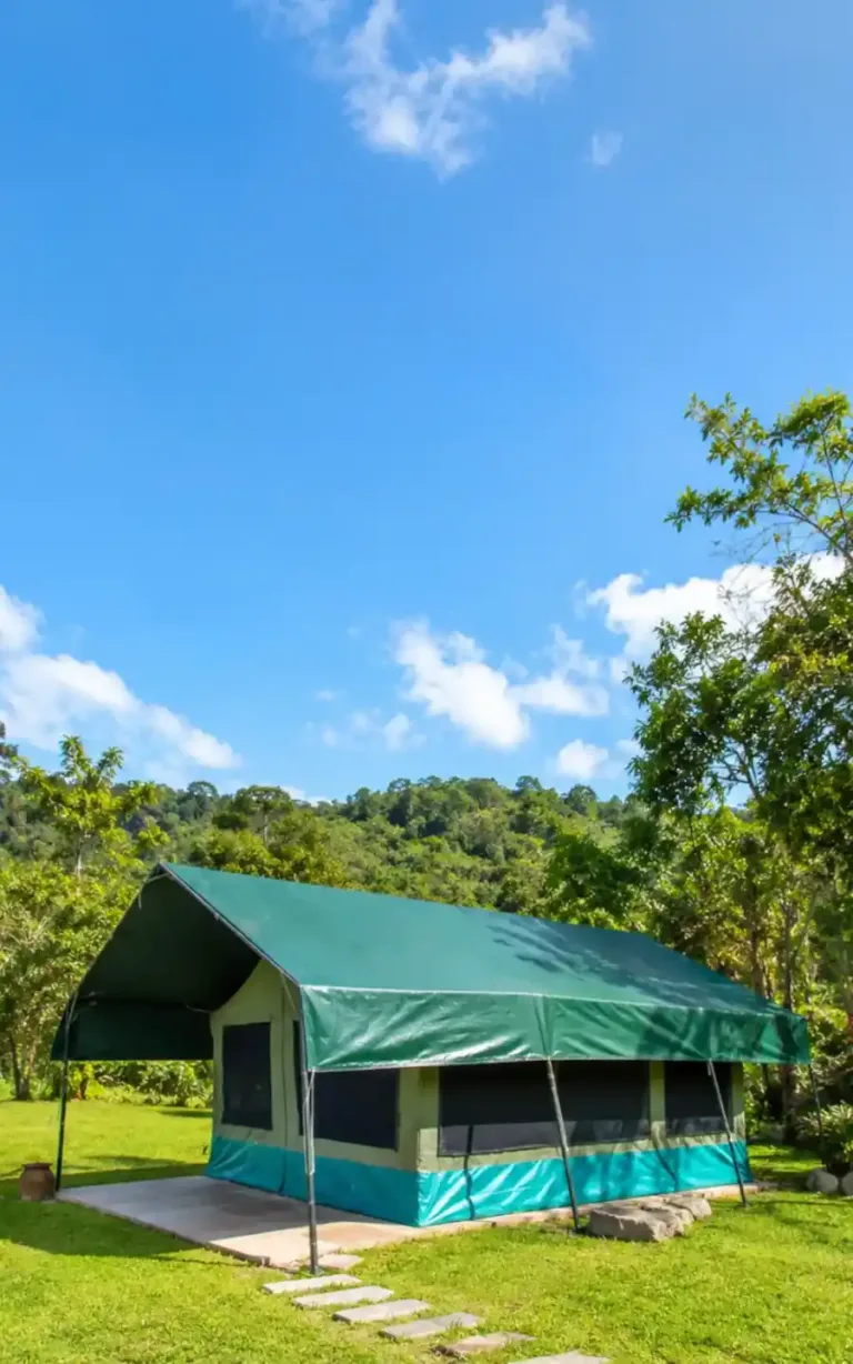 Custom Tents